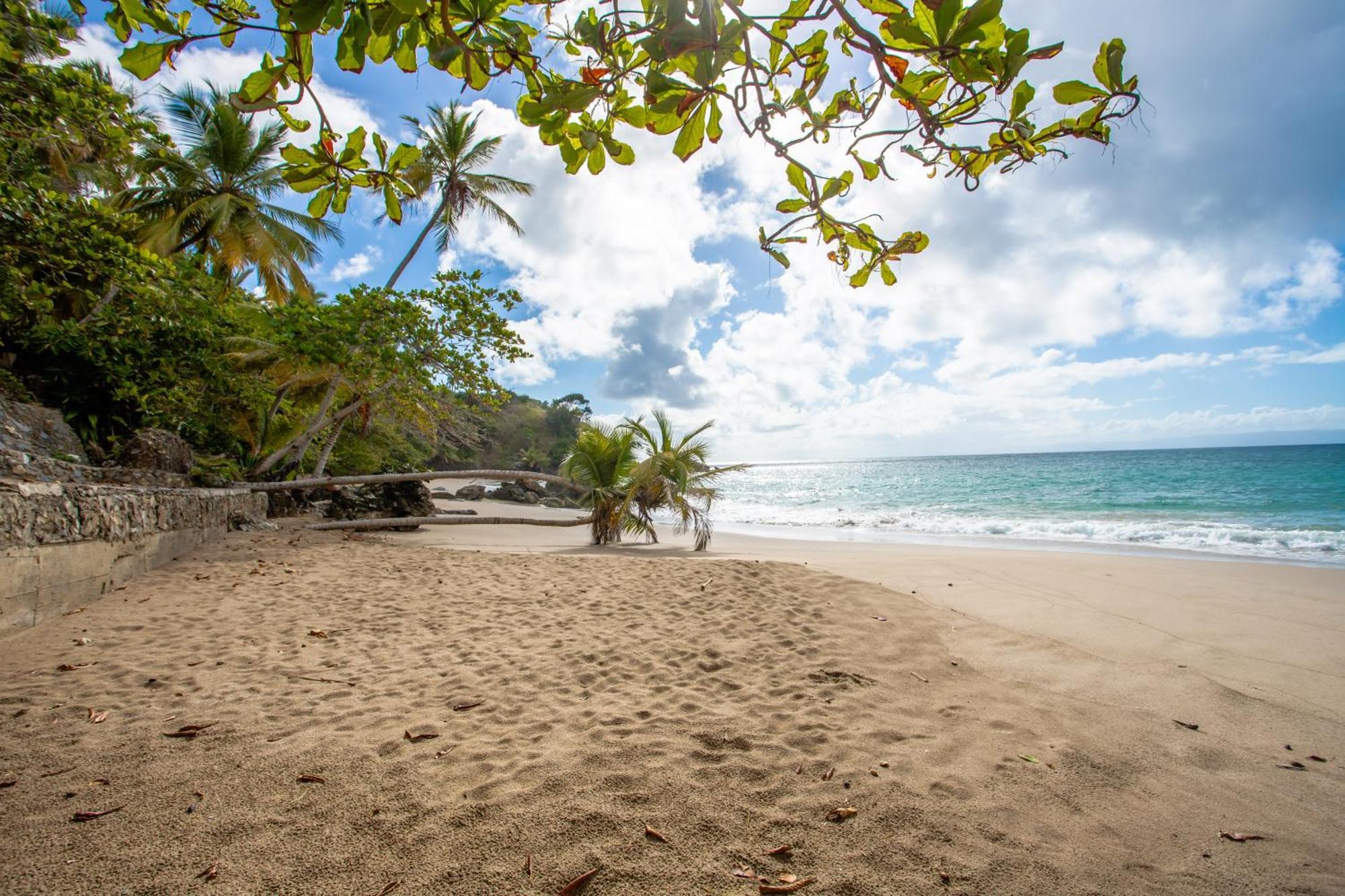 Xeliter Vista Mare, Samana Aparthotel Exterior photo